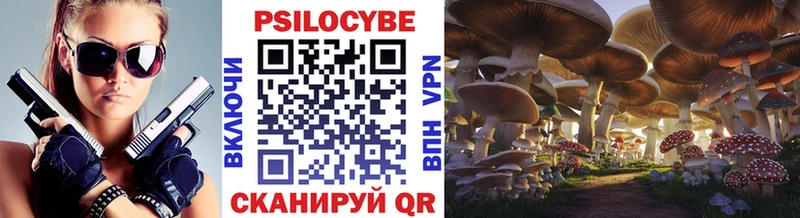 Галлюциногенные грибы Psilocybe Мурино