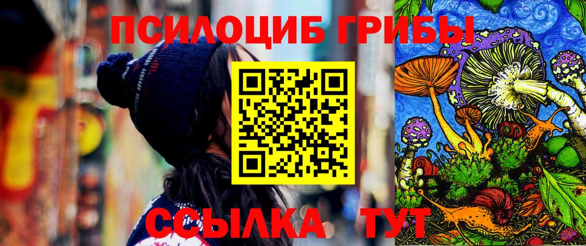 Псилоцибиновые грибы прущие грибы Мурино