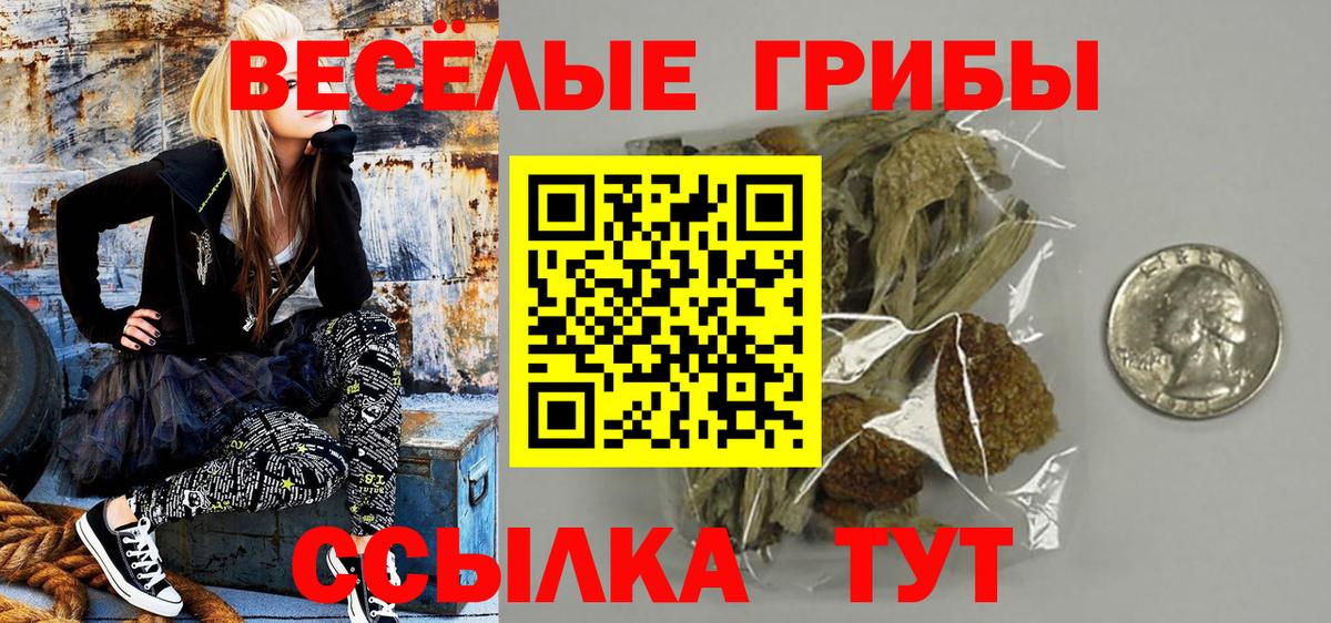 Мурино  Псилоцибиновые грибы мицелий  Вход с VPN 